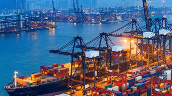 晴川供應 青島至杰克遜維爾海運貨運代理服務